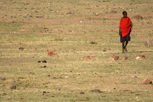 Masajského kmene osoba - ngorongoro crater, Tanzanie, Afrika — Stock fotografie