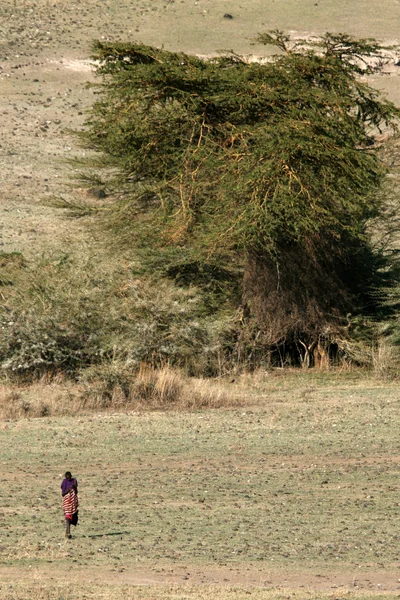 Masai Tribe Person - Cratera de Ngorongoro, Tanzânia, África — Fotografia de Stock