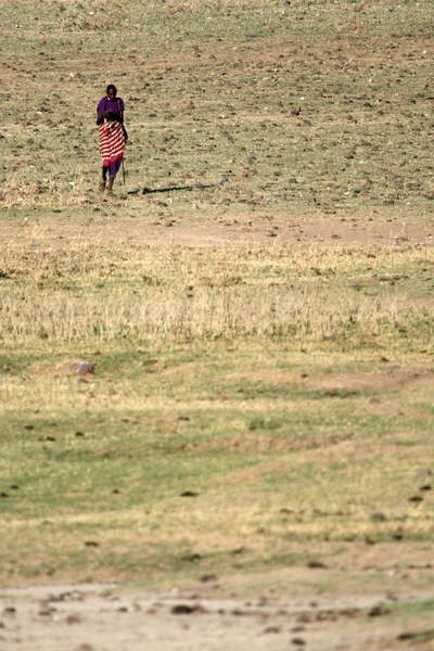 Masai Tribe Person - Кратер Нгоронгоро, Танзания, Африка — стоковое фото