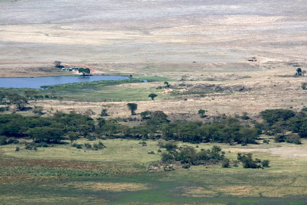 Ngorongoro crater, tanzania, Afryka — Zdjęcie stockowe