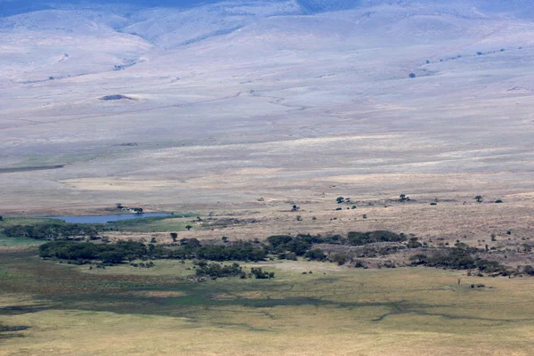 Ngorongoro krater, tansania, afrika — Stockfoto