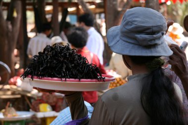 Selling Bugs - Phnom Penh, Cambodia clipart