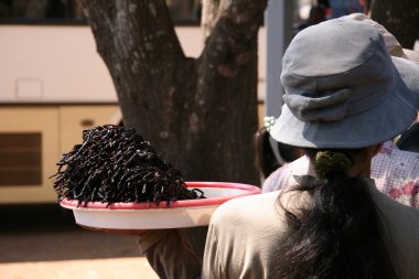 Bugs - phnom penh, Kamboçya satış