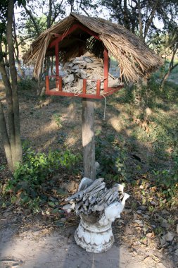 Ölüm tarlaları choeung ek, phnom penh, Kamboçya