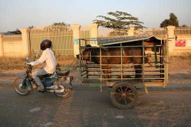 Motosiklet - phnom penh, Kamboçya