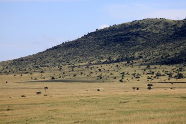 büyük rift Vadisi - Masai mara - kenya