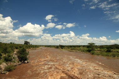 Mara River - Kenya clipart