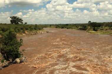 Mara Nehri - kenya