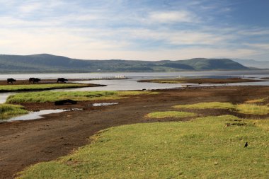 Lake nukuru doğa rezerv - kenya