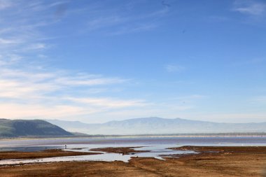 Lake nukuru doğa rezerv - kenya