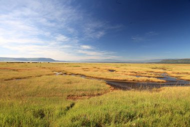 Lake nukuru doğa rezerv - kenya