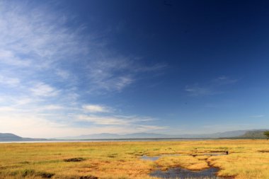 Lake nukuru doğa rezerv - kenya