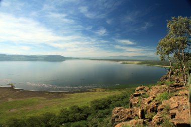 Lake nukuru doğa rezerv - kenya