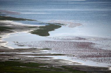 Lake nukuru doğa rezerv - kenya