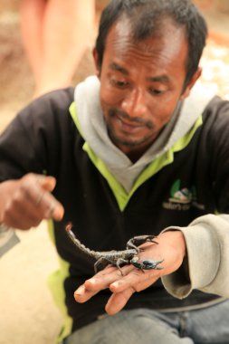 Man Holding Black Scorpion clipart