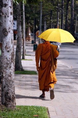 Budist rahipler - siem reap, Kamboçya