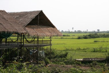 tonle sap, Kamboçya