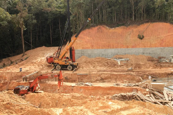 Αποψίλωση των δασών, να ανοίξει ο δρόμος για την κατασκευή ξενοδοχείου — Φωτογραφία Αρχείου