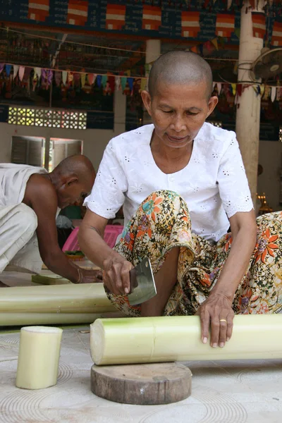 Тонлесап, Камбоджа — стокове фото
