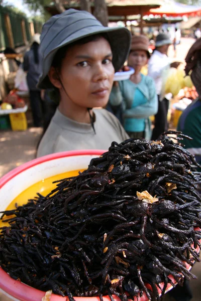 Verkoop van bugs - phnom penh, Cambodja — Stockfoto