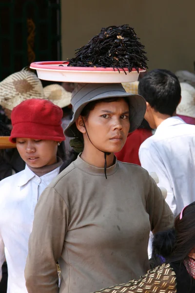 Sälja buggar - phnom penh, Kambodja — Stockfoto