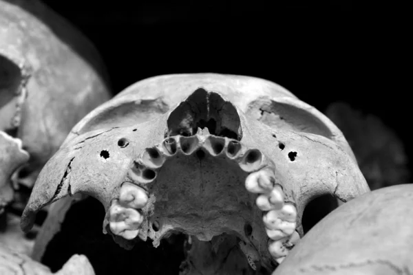 두개골-있다 Ek, 프놈펜, 캄보디아의 킬 링 필드 — 스톡 사진