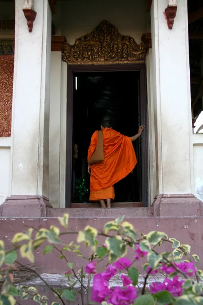 Budist rahipler - wat phnom, phnom penh, Kamboçya — Stok fotoğraf