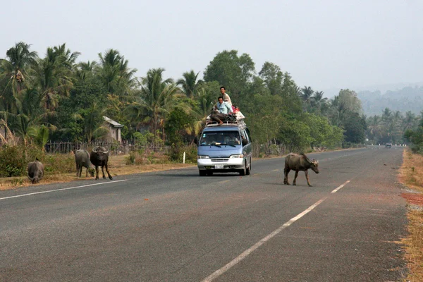 Autostrada - Sihanoukville, Cambogia — Foto Stock