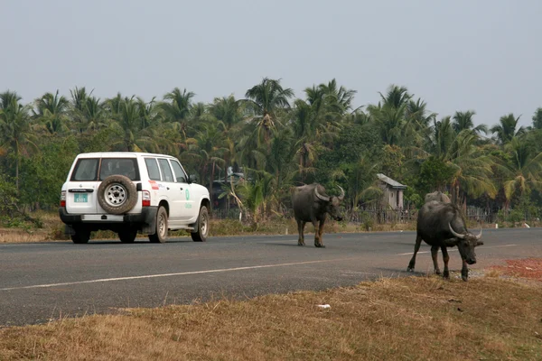 stock image Highway - Sihanoukville, Cambodia