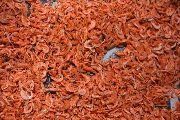Shrimps - Sihanoukville, Cambodia — Stock Photo, Image