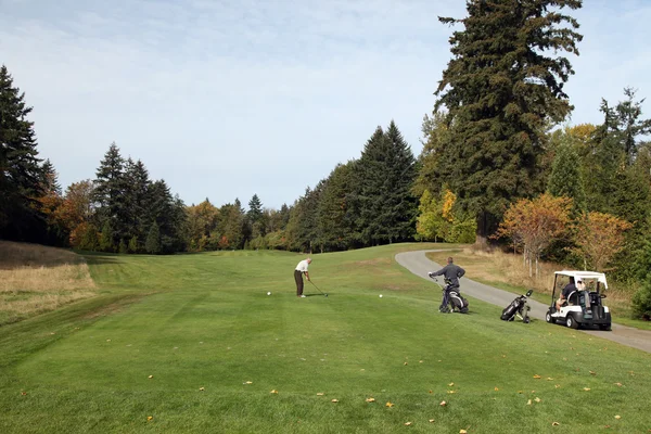 Golf Sahası - lüks uluslararası standart