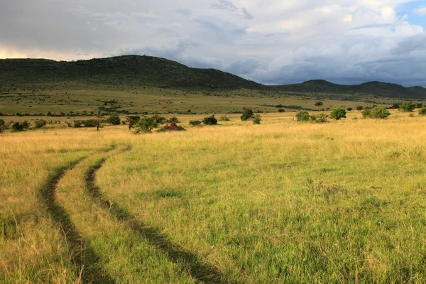 Velké příkopové propadliny - Masai mara - Keňa — Stock fotografie
