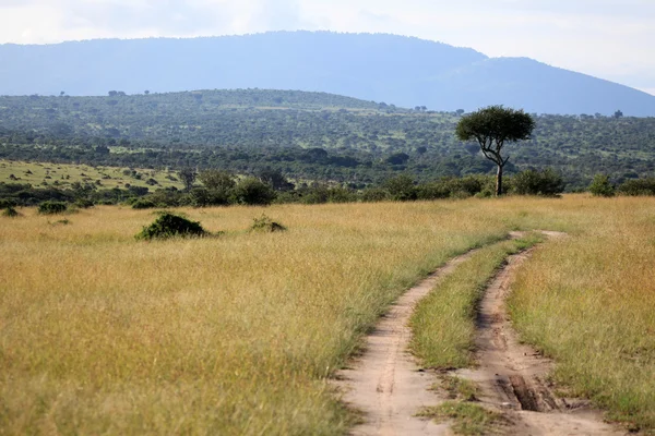 Great rift valley - maasai mara - i kenya — Stockfoto