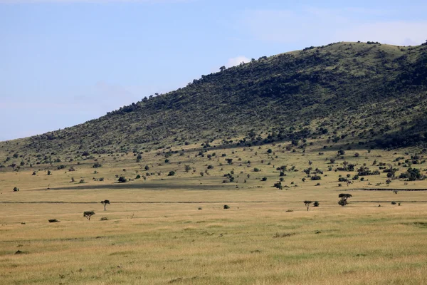 Великая рифтовая долина - Масаи Мара - Кения — стоковое фото