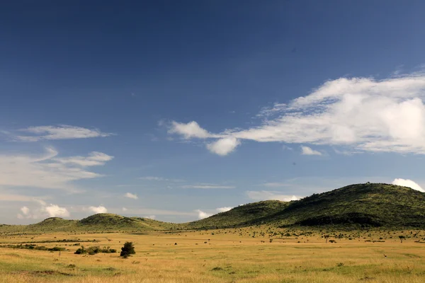 大裂谷-马赛马拉-肯尼亚 — 图库照片