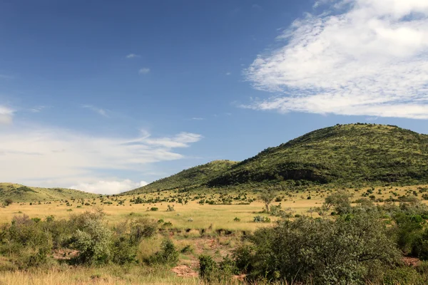 De Grote Slenk - maasai mara - Kenia — Stockfoto