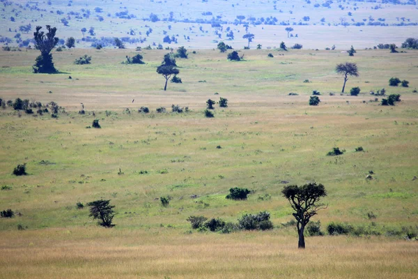 Η Κένυα μεγάλης Τεκτονικό ρήγμα - Μασάι Μάρα- — Φωτογραφία Αρχείου