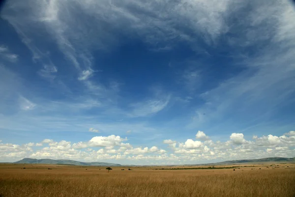 La Grande Rift Valley - Maasai Mara - Kenya — Foto Stock