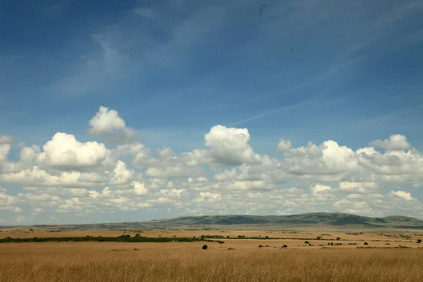 The Great Rift Valley - Maasai Mara - Kenya — Stock Photo, Image