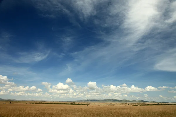 De Grote Slenk - maasai mara - Kenia — Stockfoto