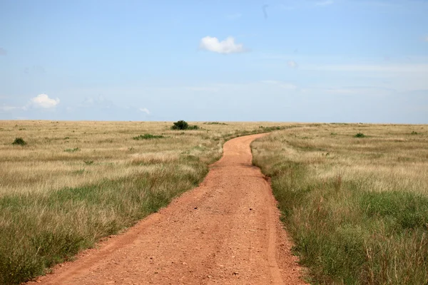 El Gran Valle del Rift - Maasai Mara - Kenia — Foto de Stock