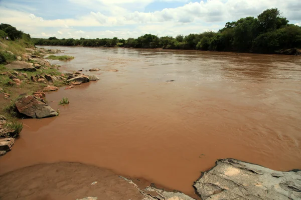 Mara (rivier)-Kenia — Stockfoto