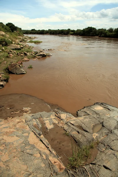 Mara (rivier)-Kenia — Stockfoto
