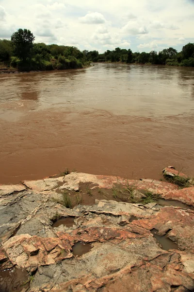 Marabut rzeka - Kenia — Zdjęcie stockowe