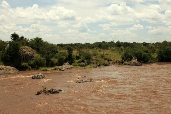 Fiume Mara - Kenya — Foto Stock