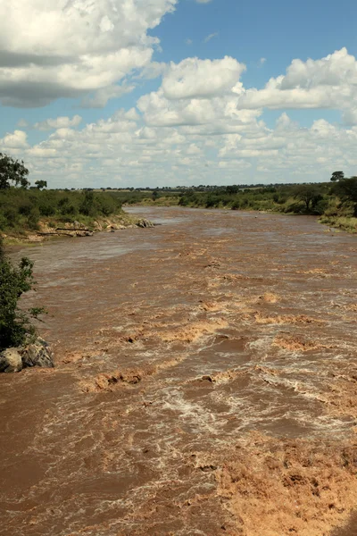 马拉河-肯尼亚 — 图库照片