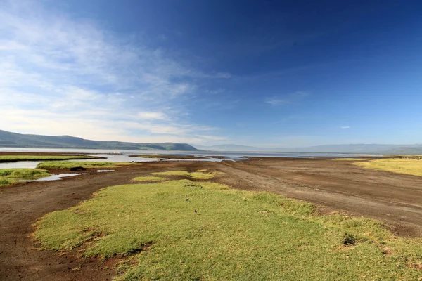 Riserva Naturale del Lago Nukuru - Kenya — Foto Stock