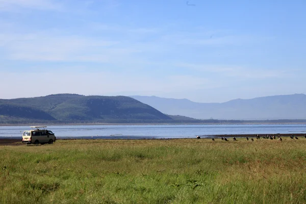 Lake nukuru doğa rezerv - kenya — Stok fotoğraf