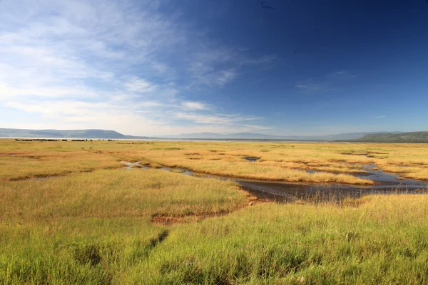 Lake nukuru natuurreservaat - Kenia — Stockfoto