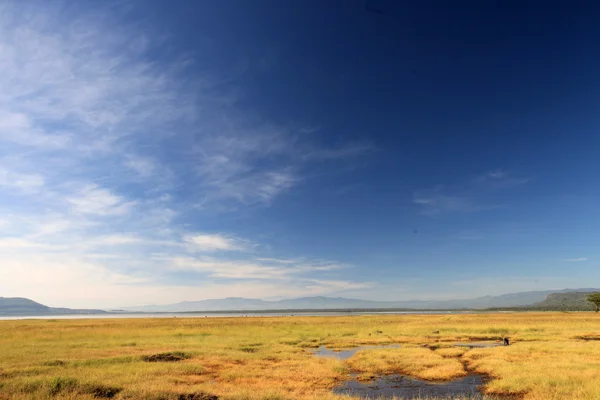 Riserva Naturale del Lago Nukuru - Kenya — Foto Stock